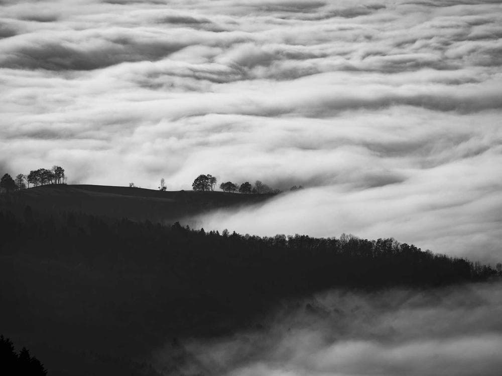 What My Grandmother's Testimony Taught Me