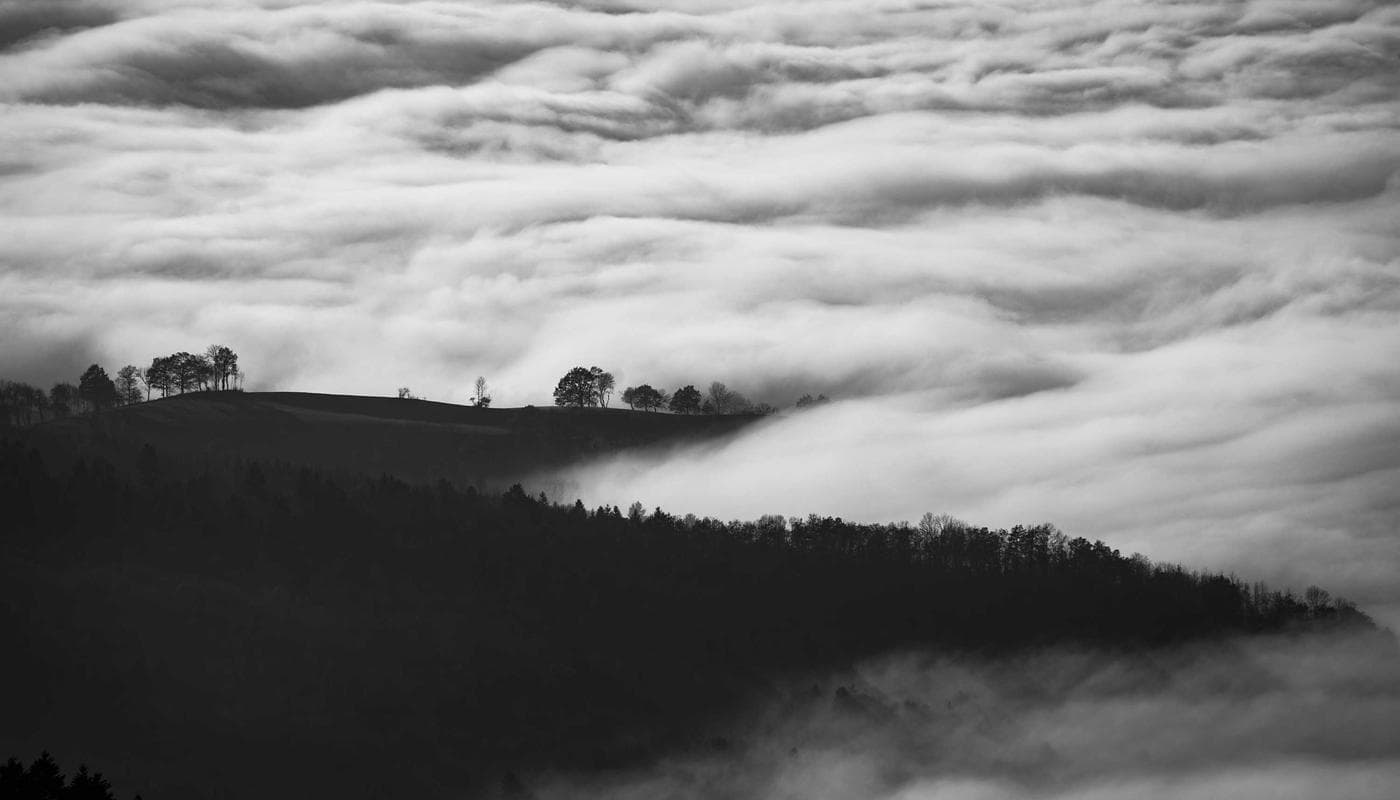 What My Grandmother's Testimony Taught Me