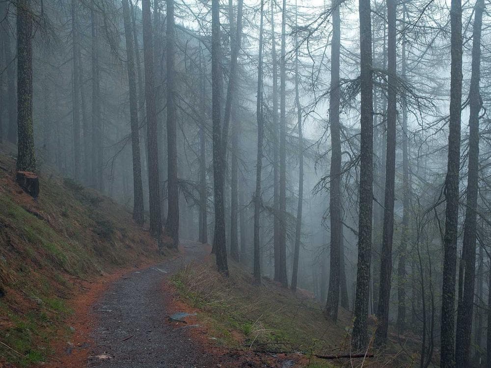 Why Prayer Changes Us Before It Changes Anything Else