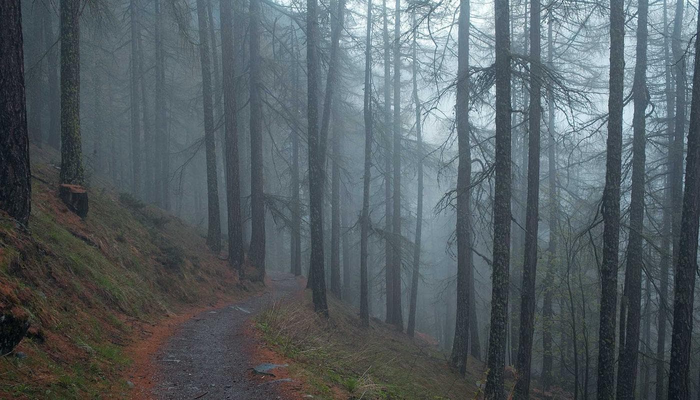 Why Prayer Changes Us Before It Changes Anything Else